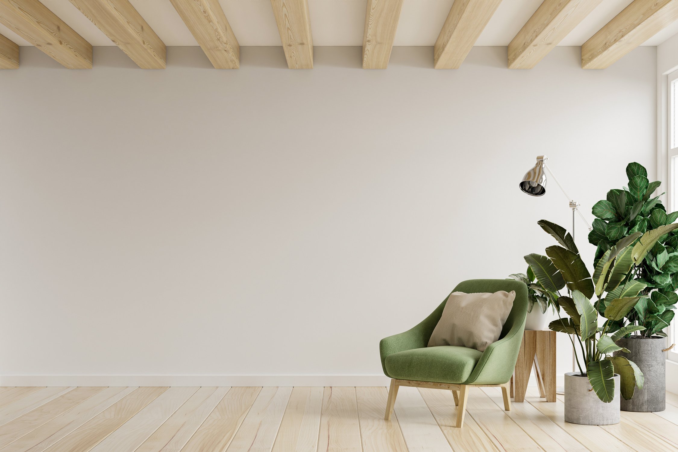 Living room with armchairs and plants decorated.